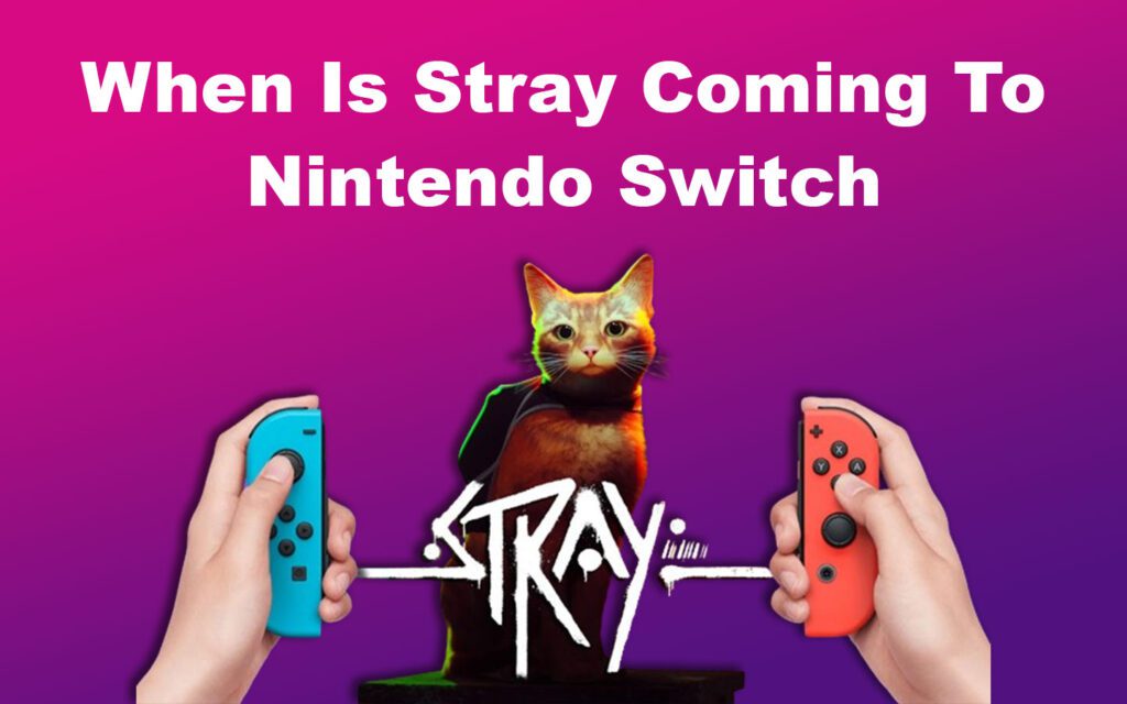 Stray Nintendo Switch When Is It Coming Alvaro Trigo S Blog