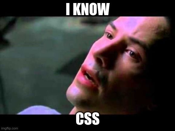 I know css meme