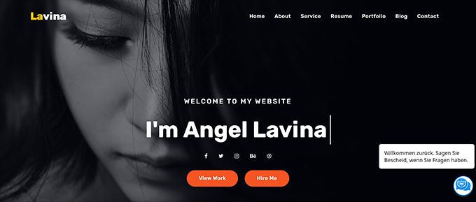 Lavina website
