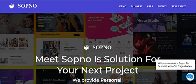 Sopno website