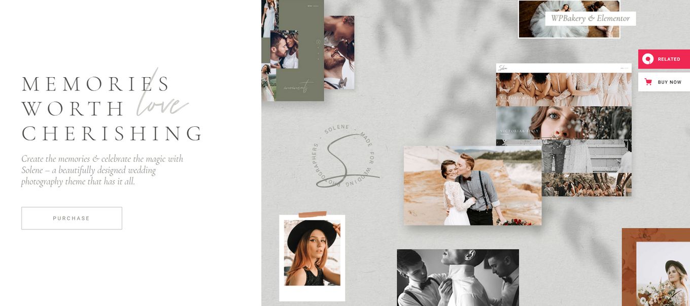 Solene Website Photography Template