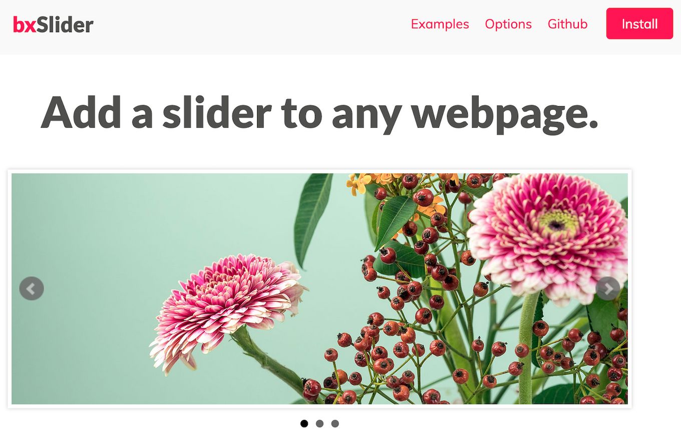 bxSlider jQuery Carousel