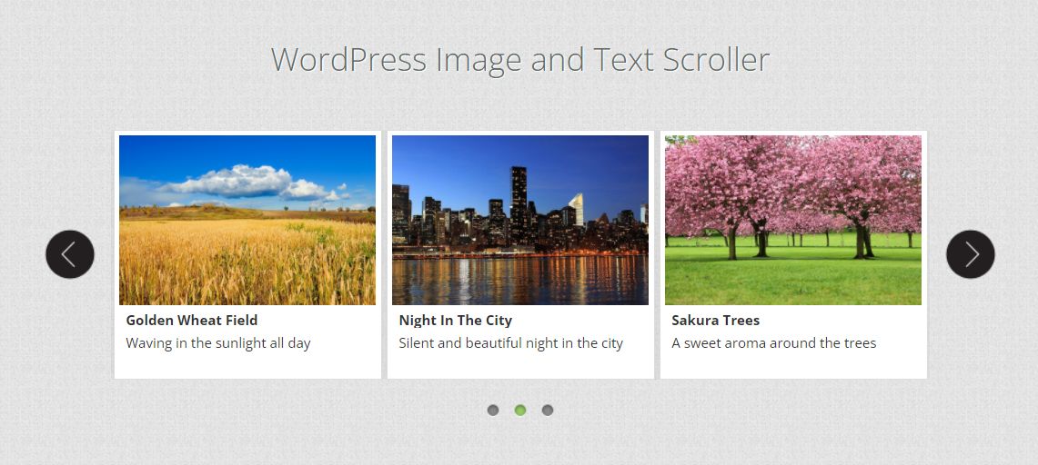 WonderPlugin Image and Text Slider example