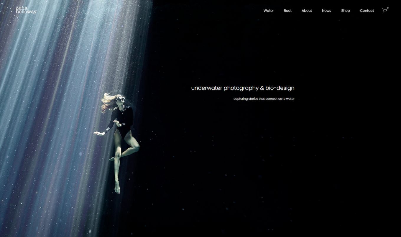 Zena Holloway Portfolio Example