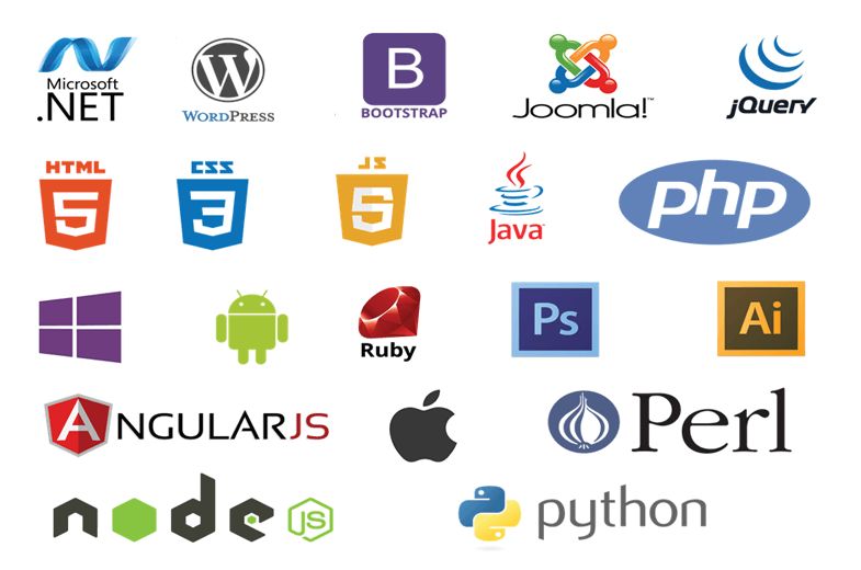 11 Must-Have Skills If You Want to Be a Web Developer [2024] - Alvaro ...