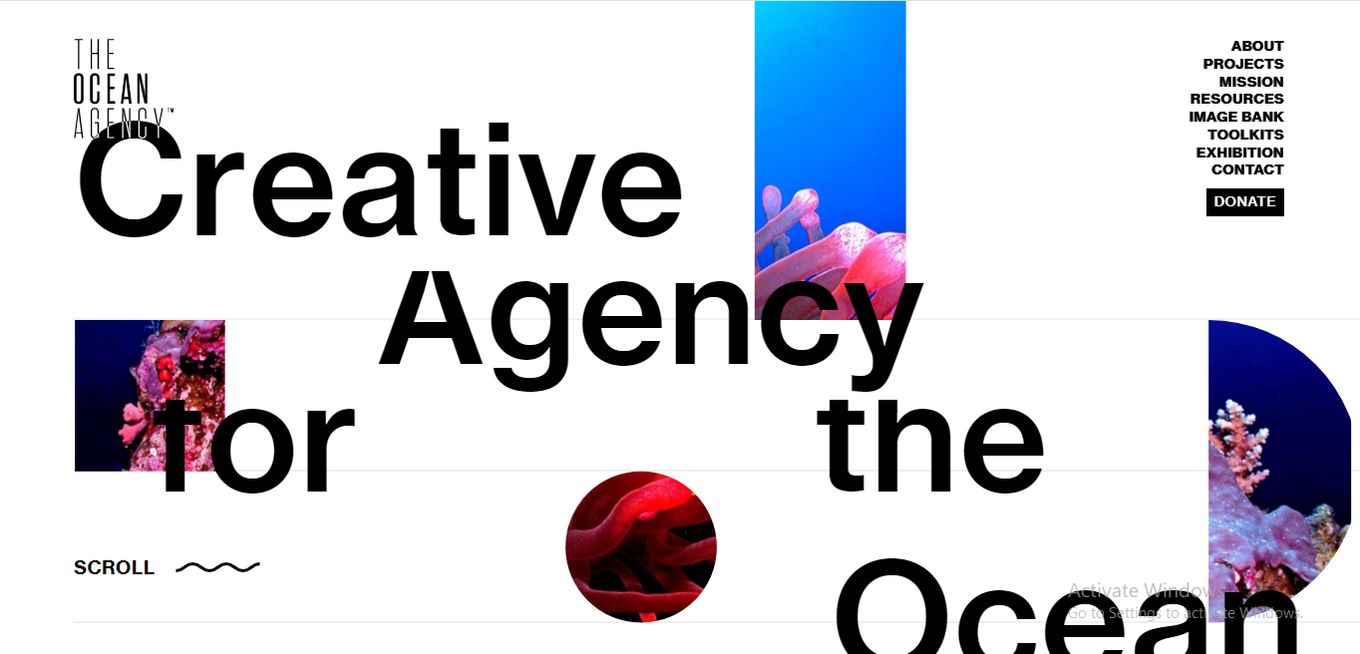 The Ocean Agency Scroll Animation