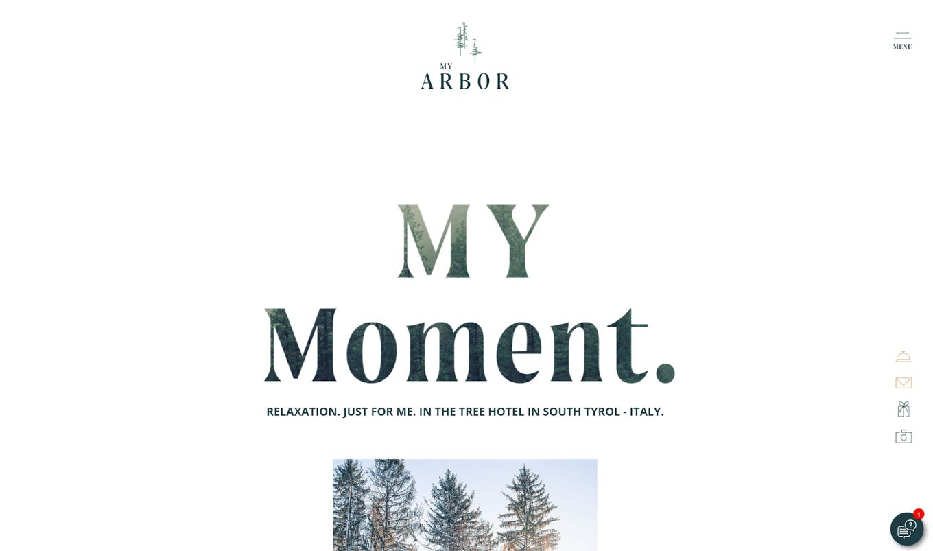My Arbor Hotels - Great Hotel Website Design