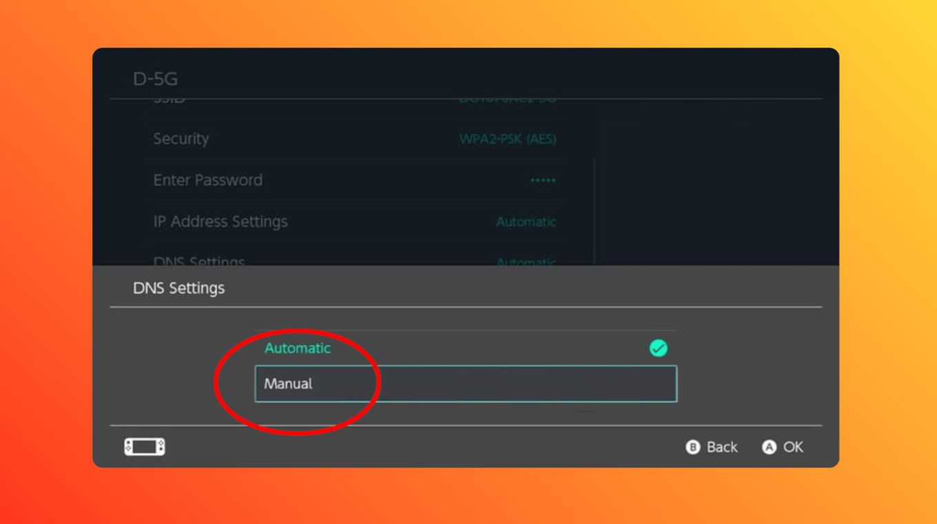 Nintendo Switch - Web Browser Select Manual DNS Settings