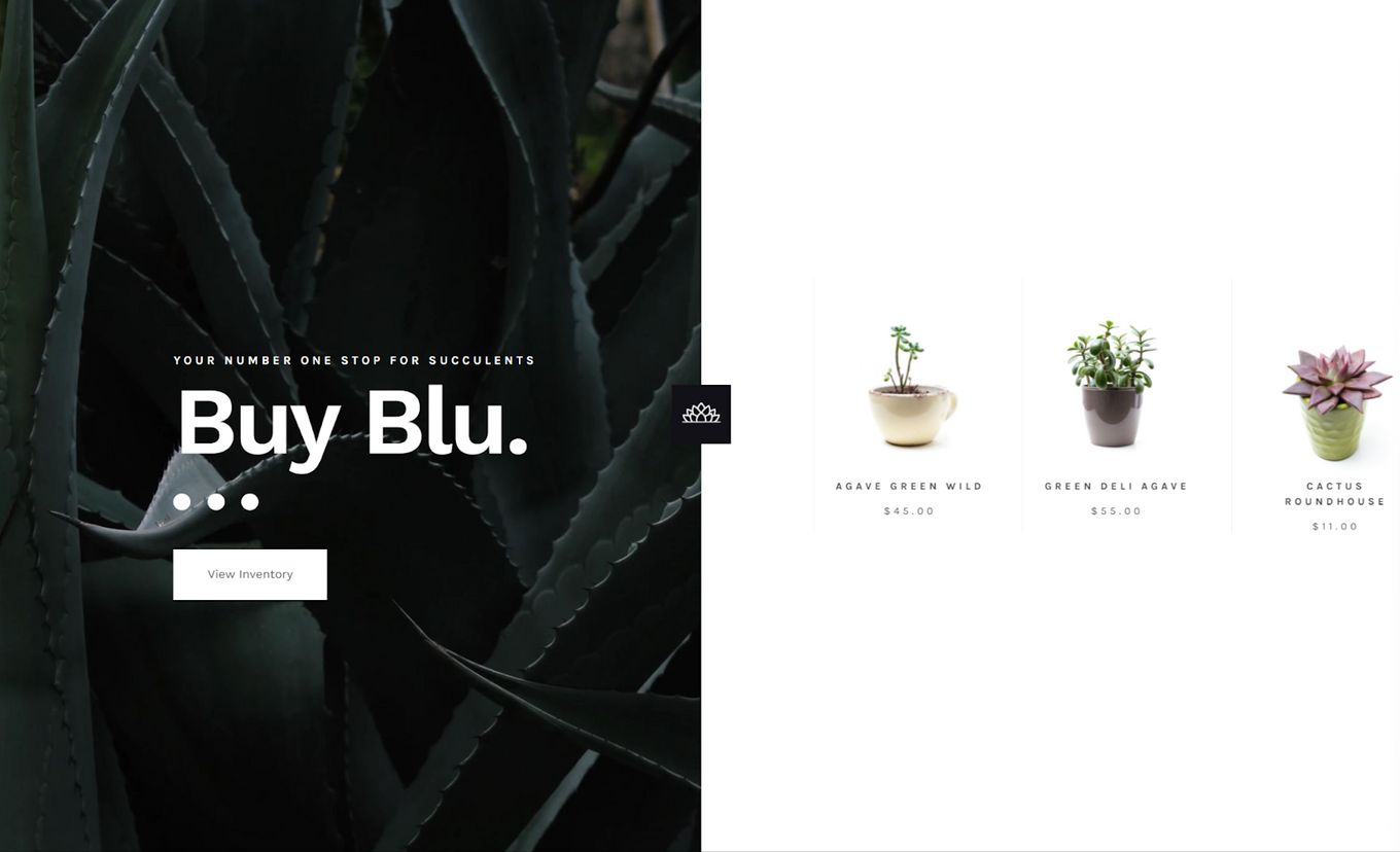 Blu Agave - Example Of A Well Designed Ecommerce Website