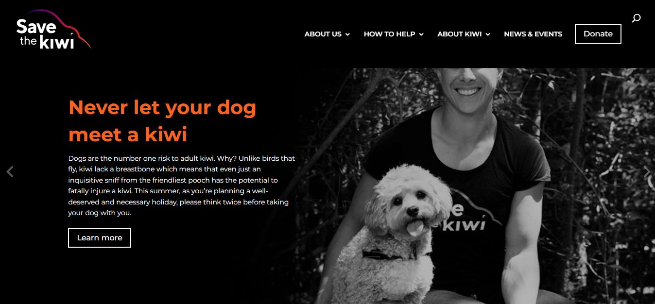 Save The Kiwi - Animals Non-profit Organisation Page