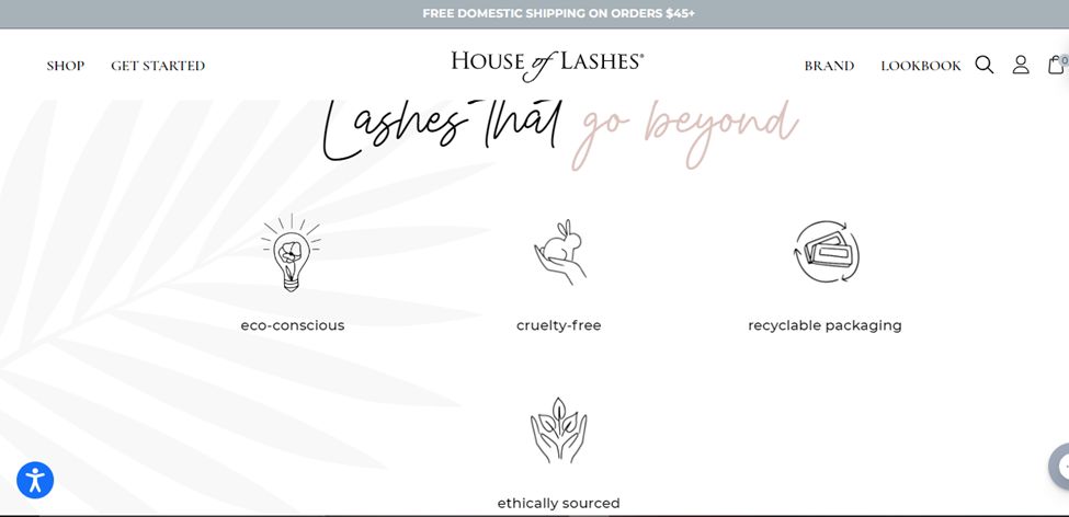 House of Lashes - A Great Idea For A Lash Website