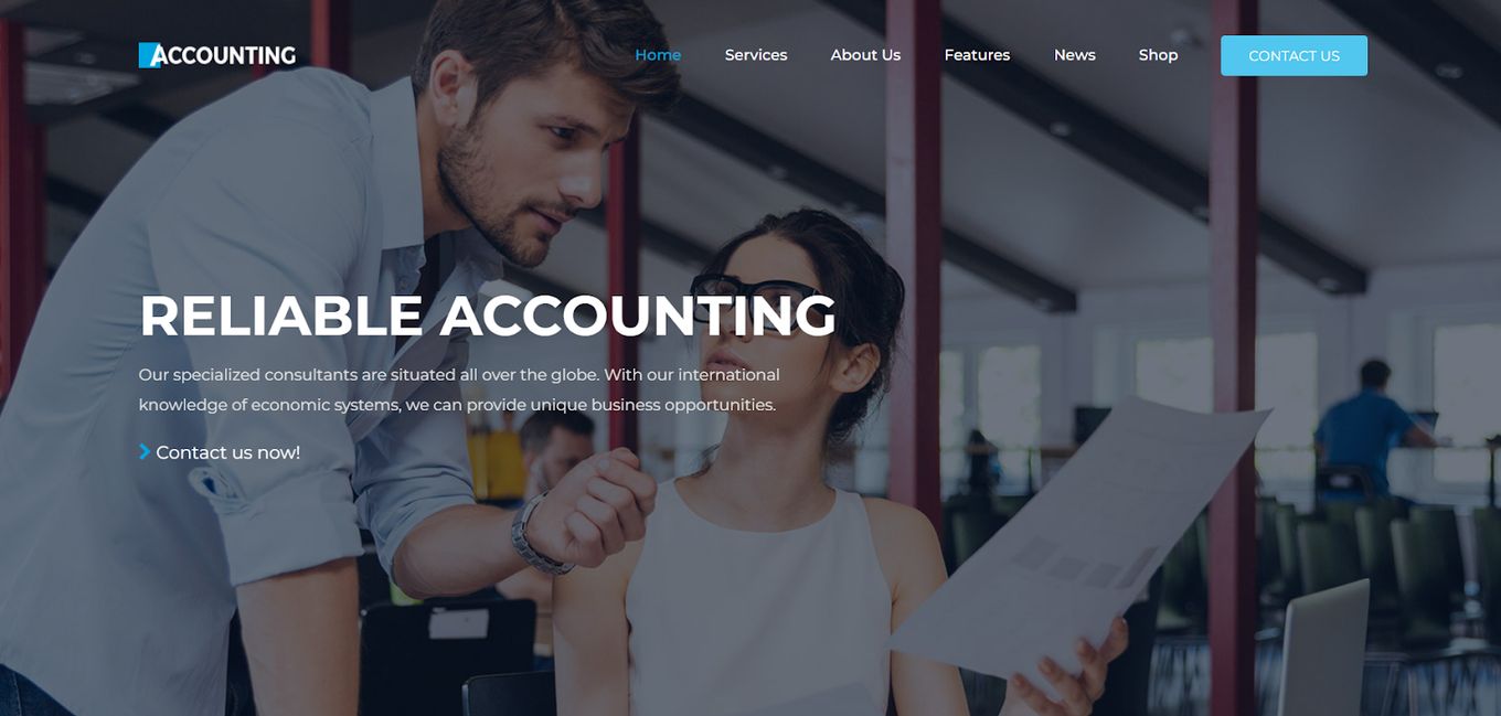 Accounting - Beautiful Premium WordPress Template For Accounting