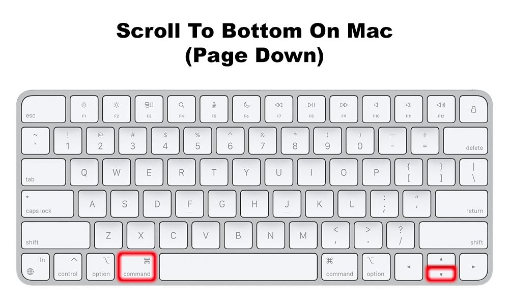 Page Down Key On Mac To Scroll To The Bottom