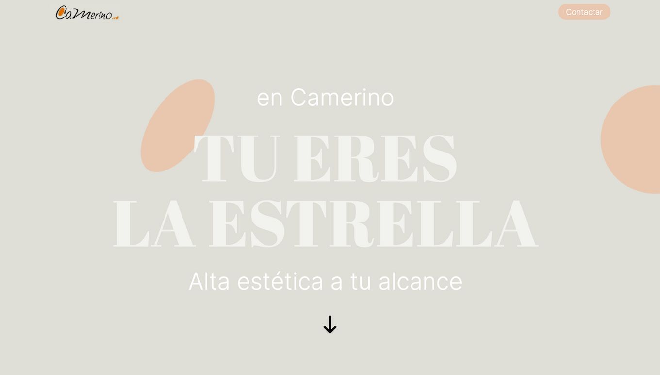 Camerino Alzira - Interactive Hair Salon Website