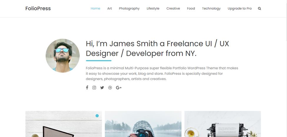 FolioPress Free Artists WordPress Theme