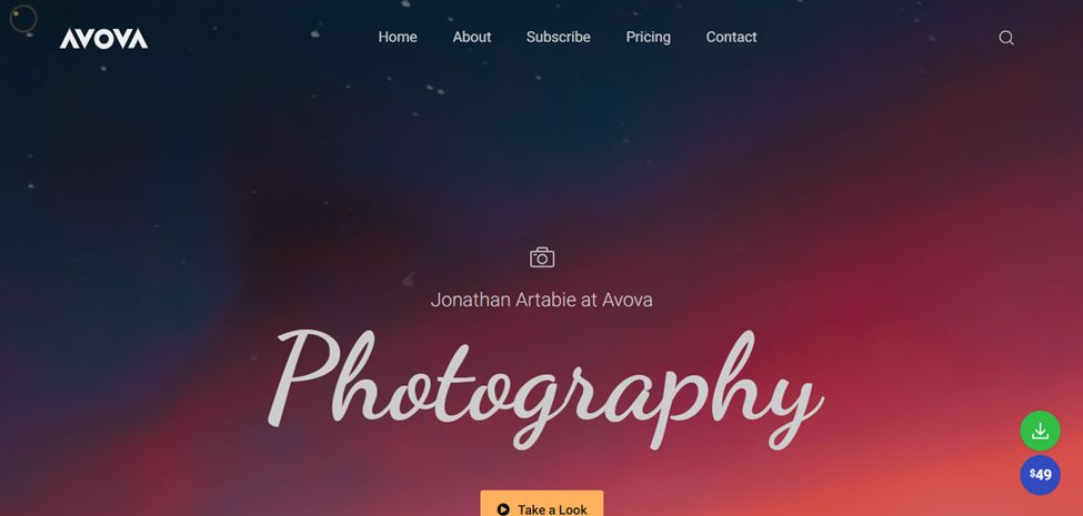 Avova Free Artists Website For WordPress