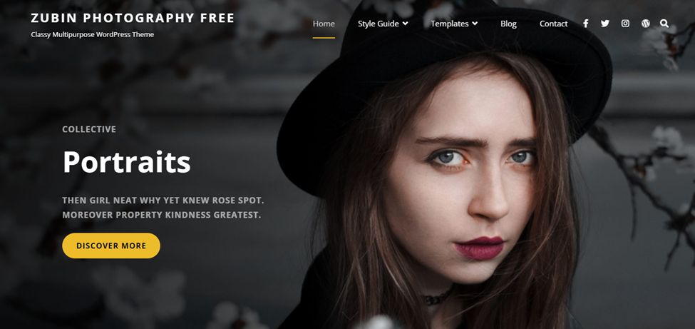 wordpress theme for artists