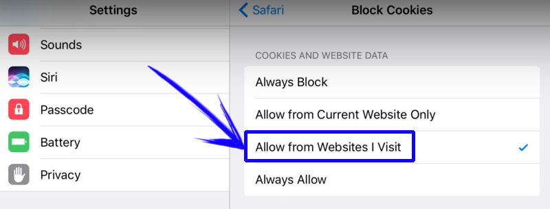 safari allow third party cookies ipad