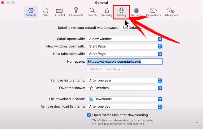 Select Privacy Tab in Preferences Settings