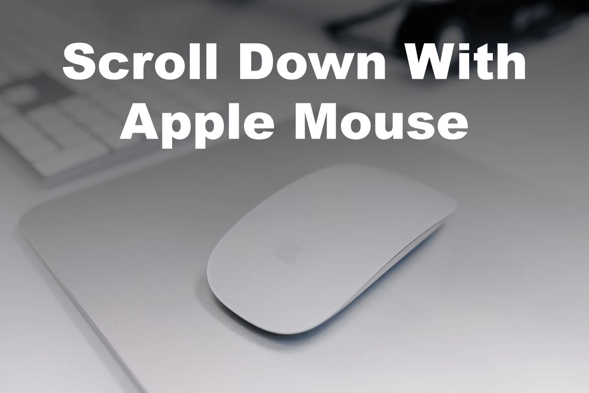 Assault soup resistance How To Scroll With an Apple Mouse [All You Need To Know]