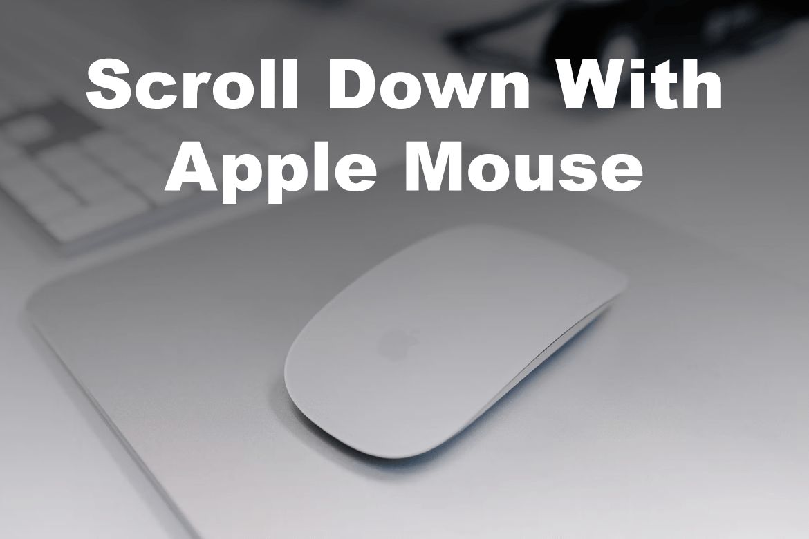 Apple Magic Mouse 2 Vs 1 [Final Comparison!] - Alvaro Trigo's Blog