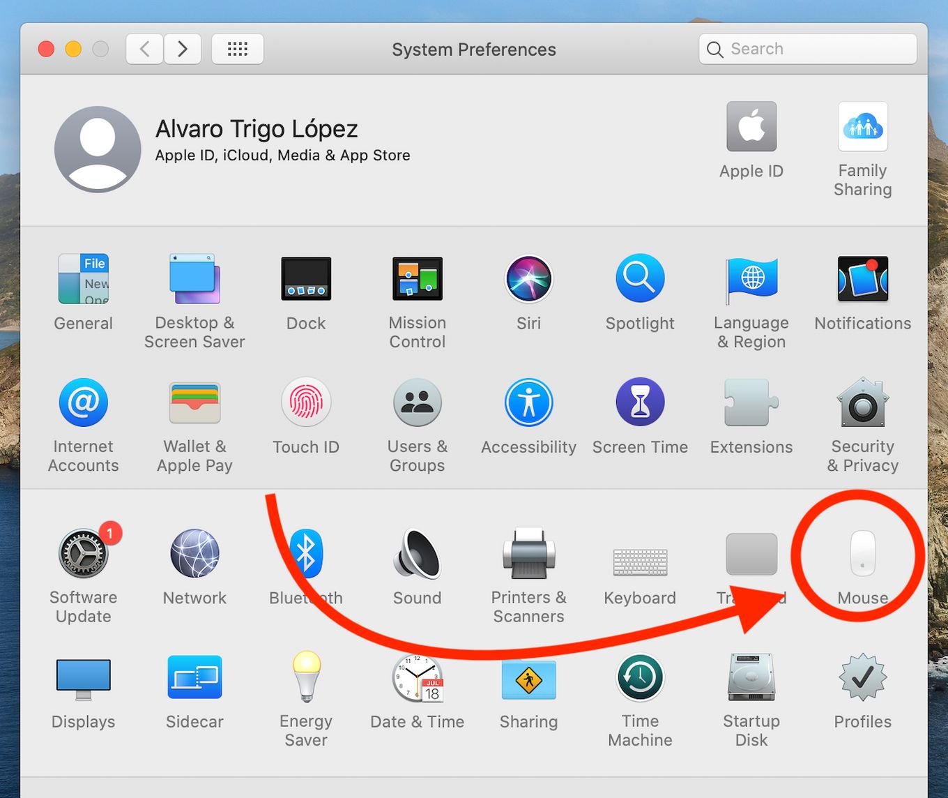 Apple Mouse Settings on Mac Preferences