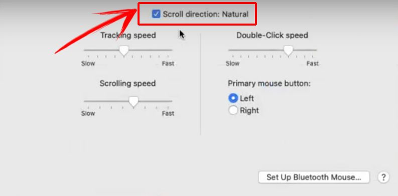 Turn On Natural Direction on Apple Magic Mouse