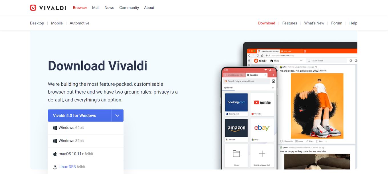 Vivaldi, Other Browser for Chromebook