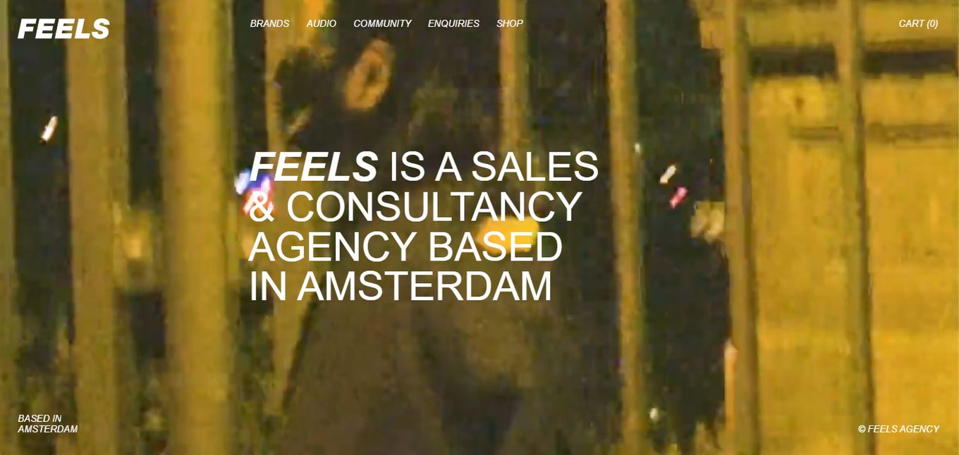 Feels - Sales & Consultancy Agency Website