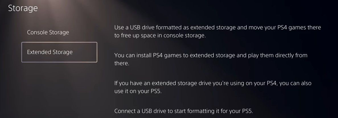 PS5 Extended Storage