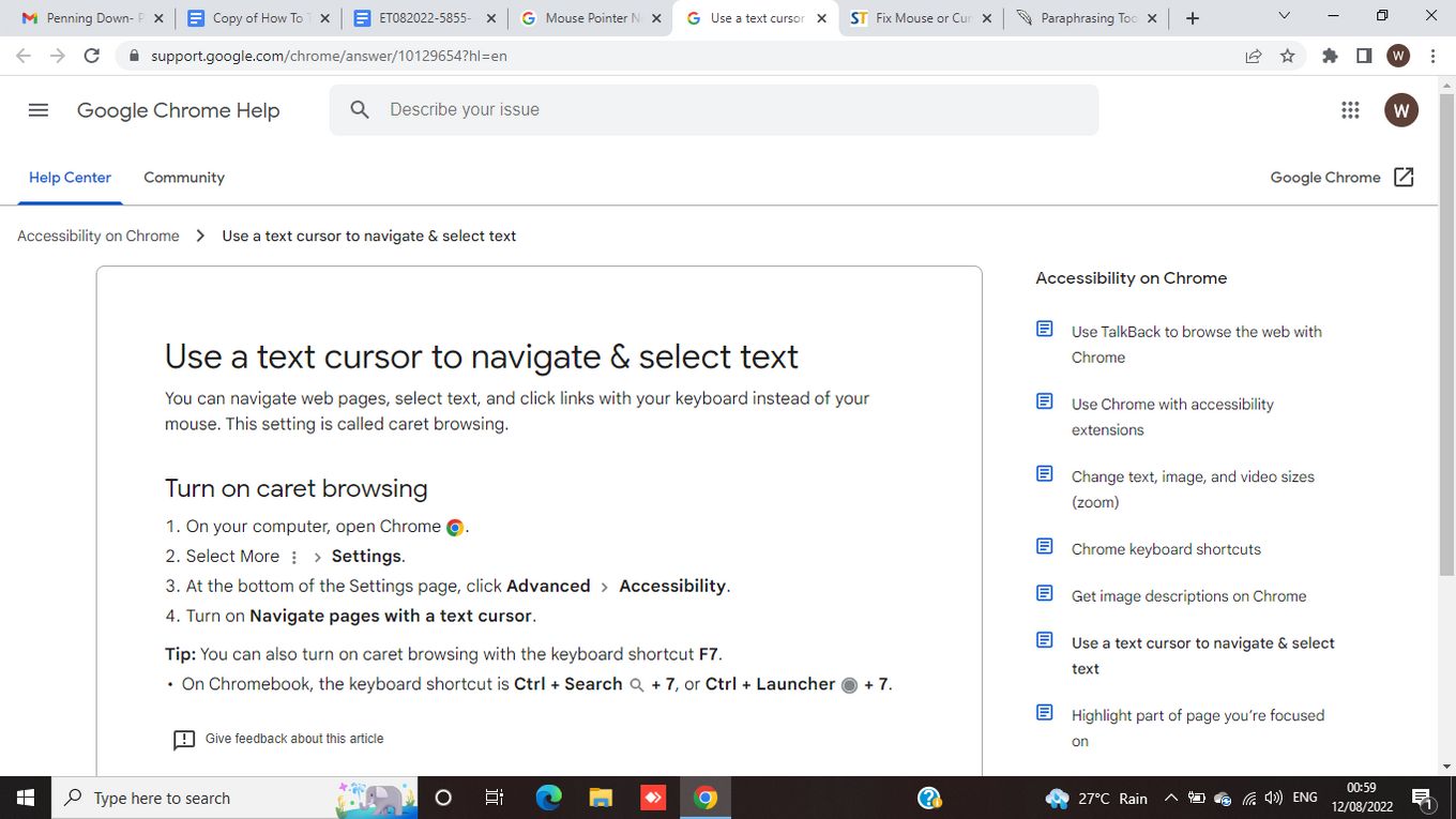 How To Change Cursor in Google Chrome Browser 