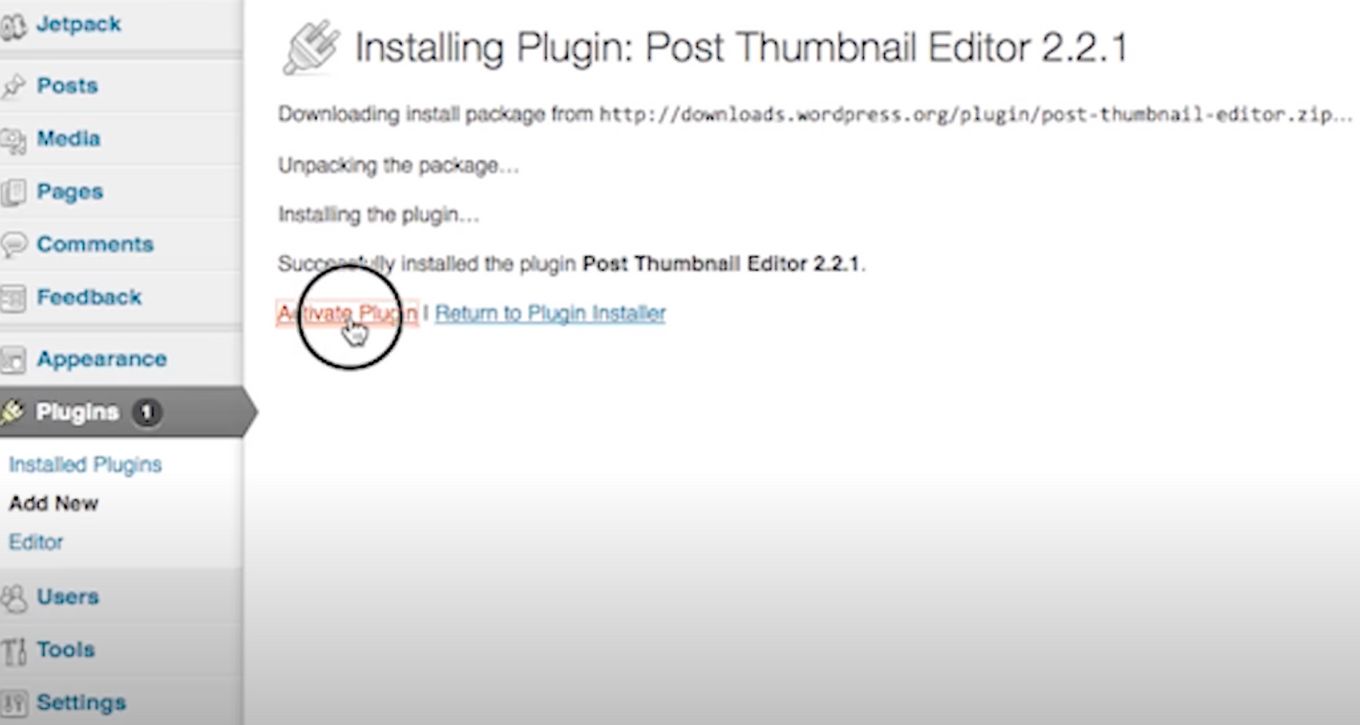 select Activate Plugin for post thumbnail editor