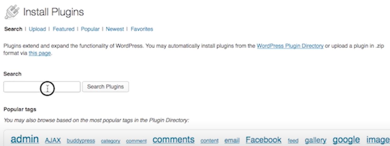 WordPress install plugins page Search Box