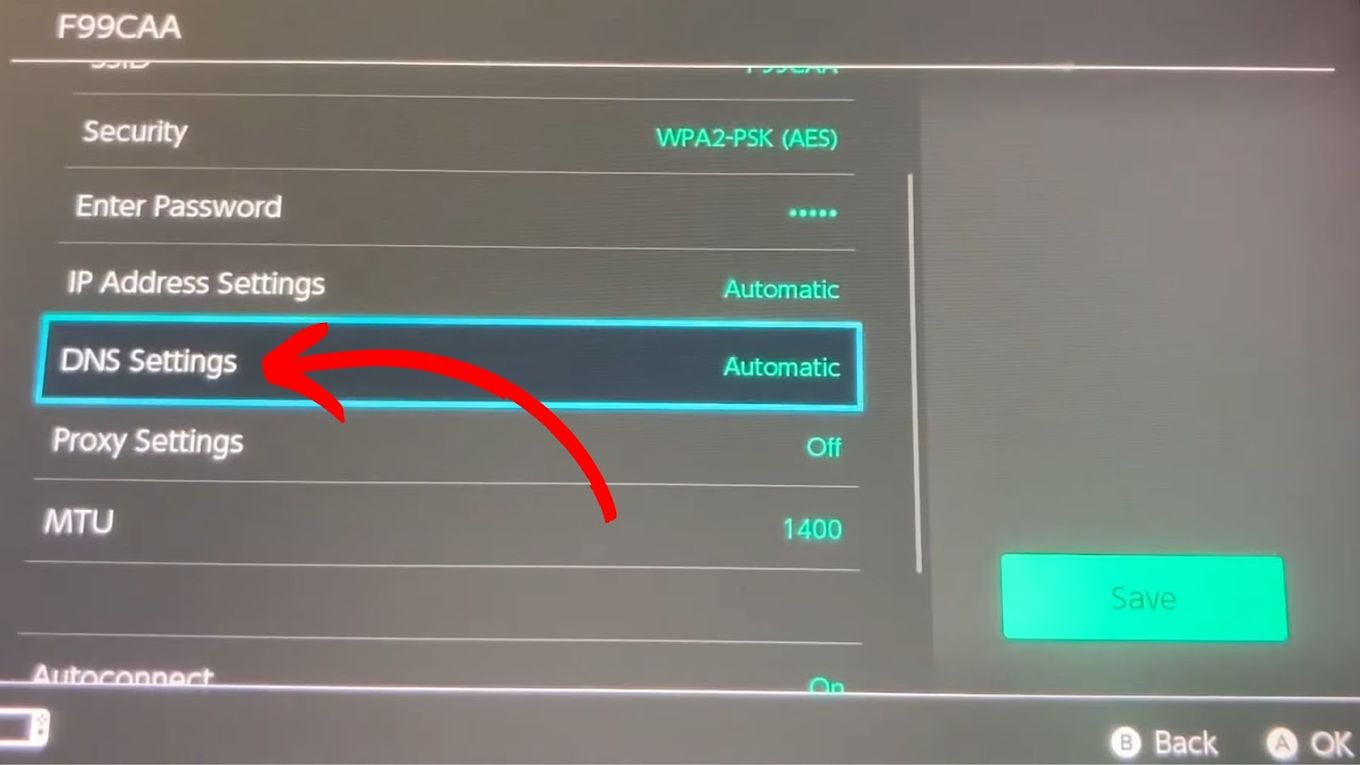 Click DNS settings of Nintendo Switch