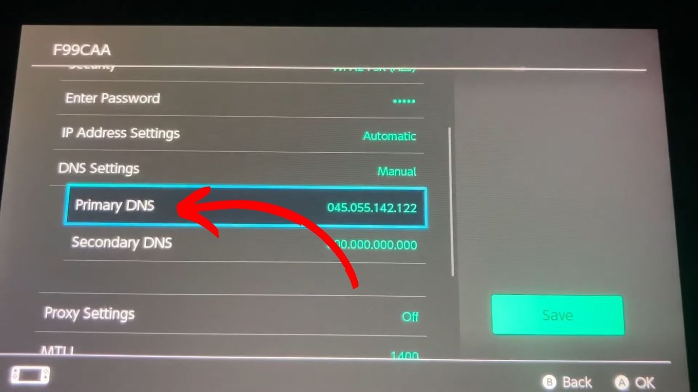 Click Primary DNS on your Nintendo Switch