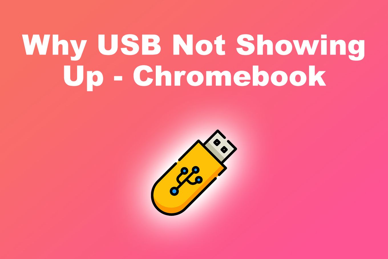 Why USB Not Showing Up - Chromebook