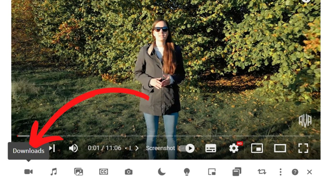 Download Video Button - Chromebook Extension
