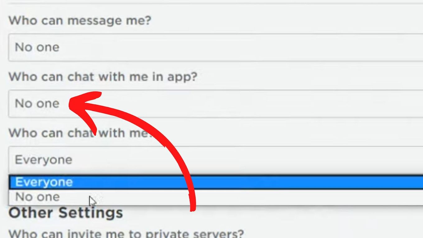 Privacy and No One - Diable Chat Roblox