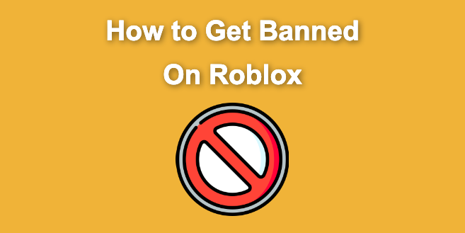 9 Best Ways To Get Banned On Roblox Super Easy Fast 8886