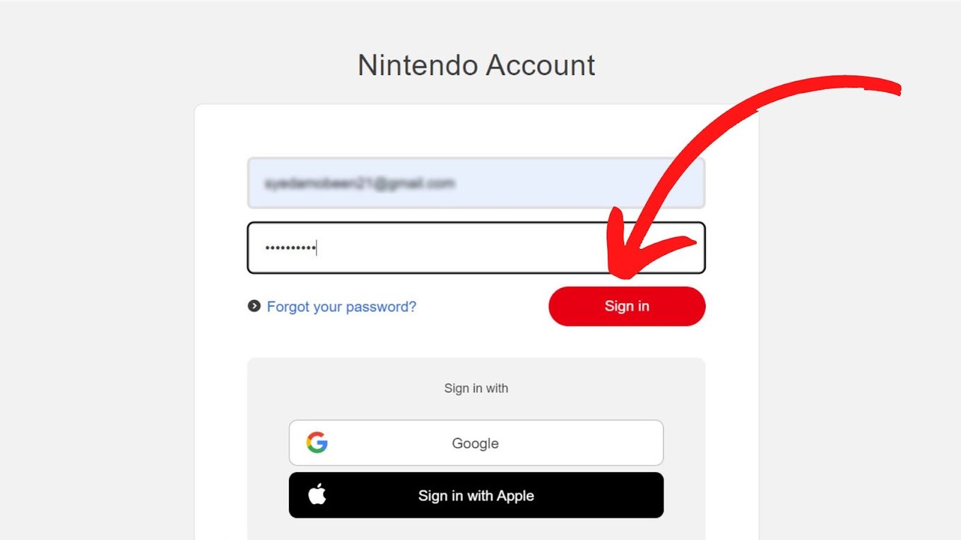 Reset Password (Nintendo Account only), Support