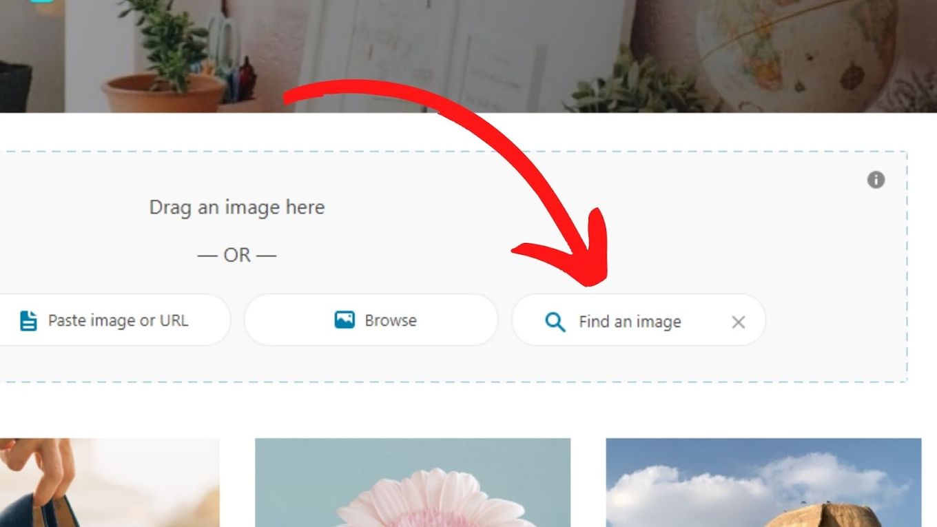 Bing Search Button - Reverse Image Mac