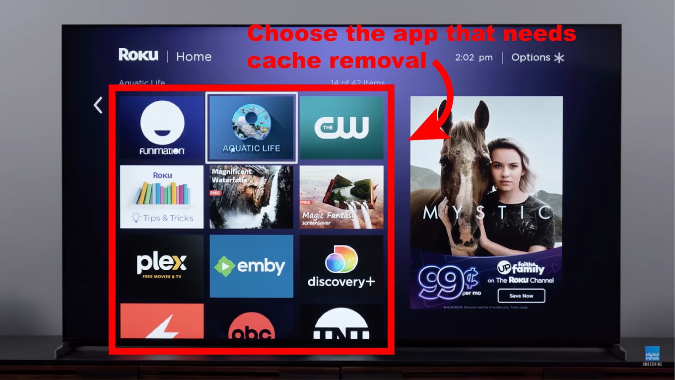  Clear Cache Roku By Deleting Channels - Step 2