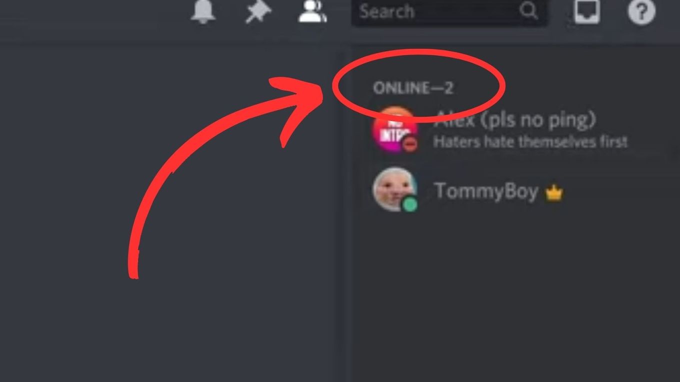 Check The Number Of Online Users on Discord Server Step 3
