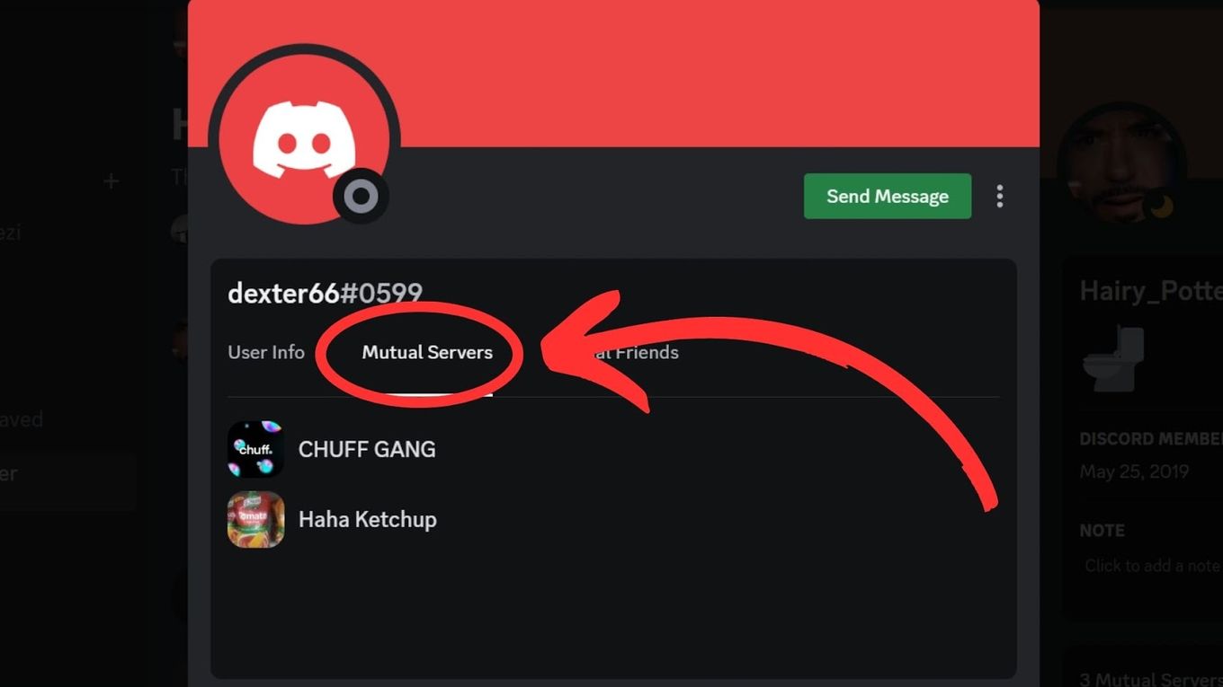 Public Discord Servers tagged with Amizade