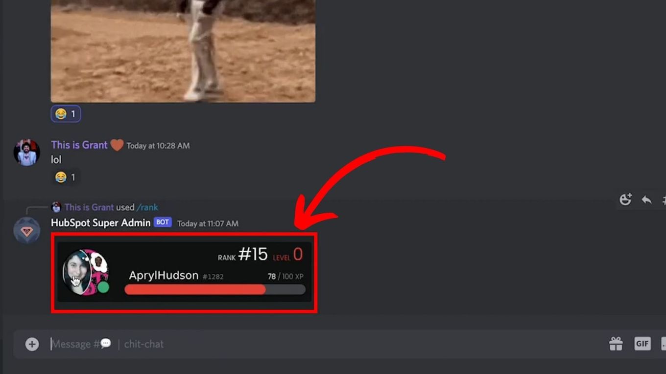 How to Check Your Level in Discord Step 5