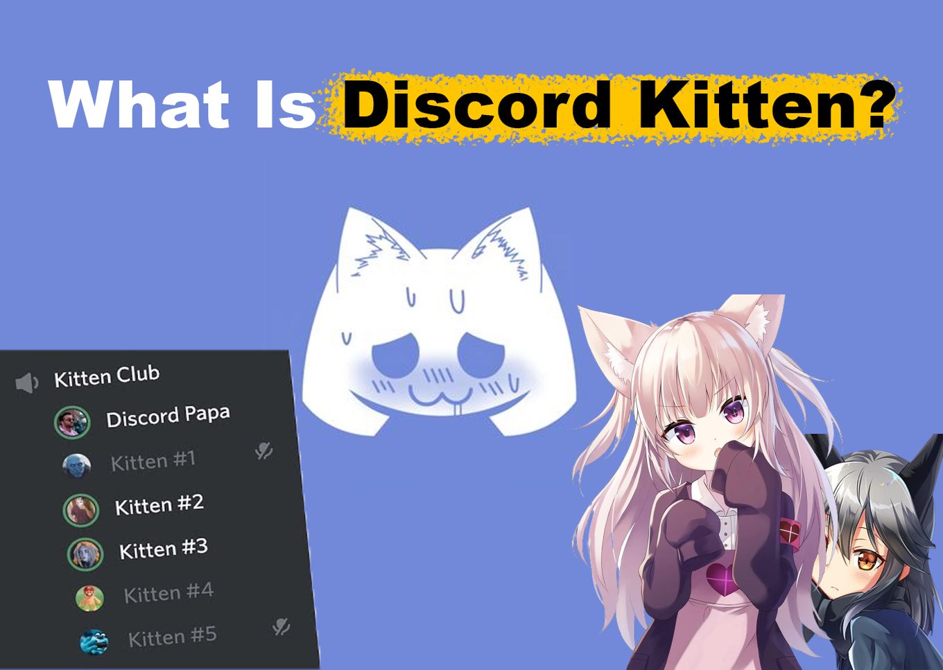 Discord Kitten About Me Template