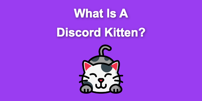 discord-kitten-explained-what-they-are-what-they-do