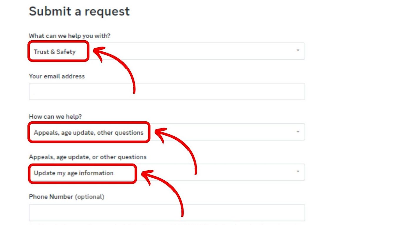 Fill in the Form – Change Age on Discord Web