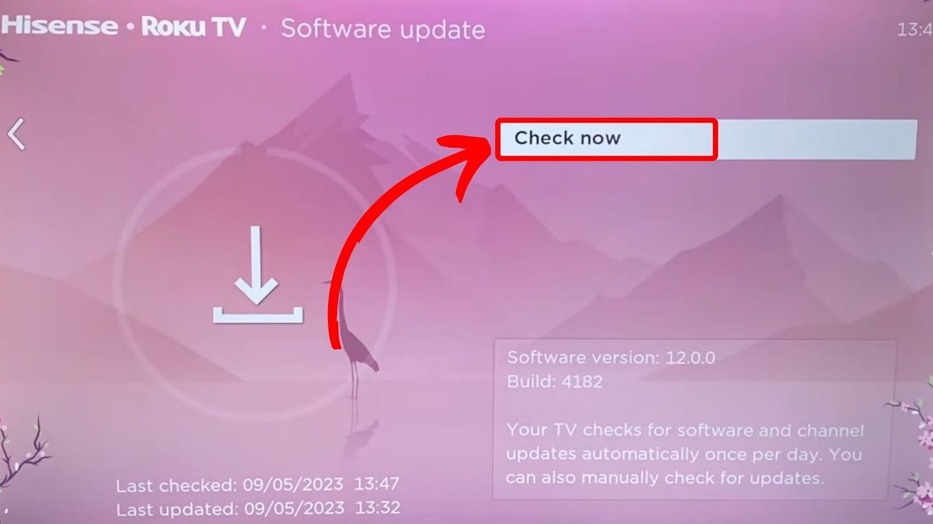 Check Now - Update Roku System