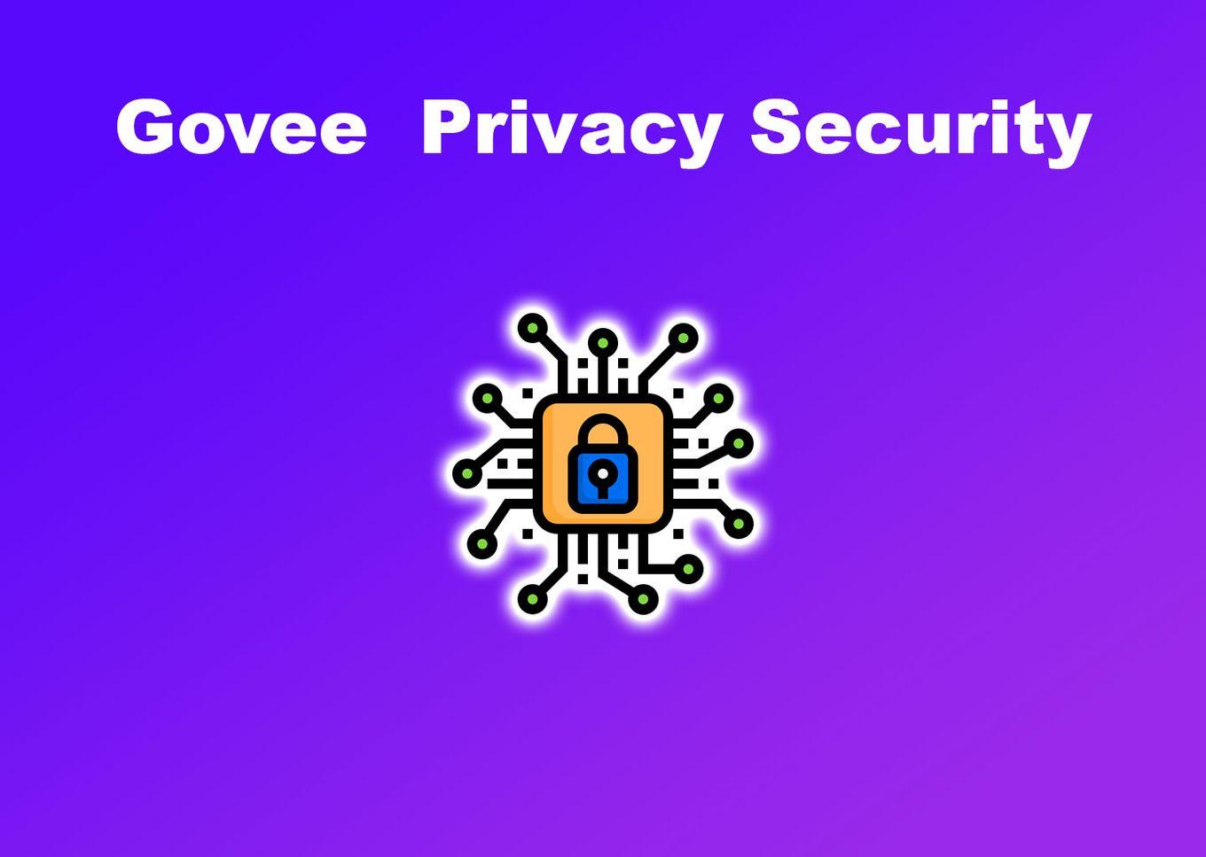 Govee  Privacy Security